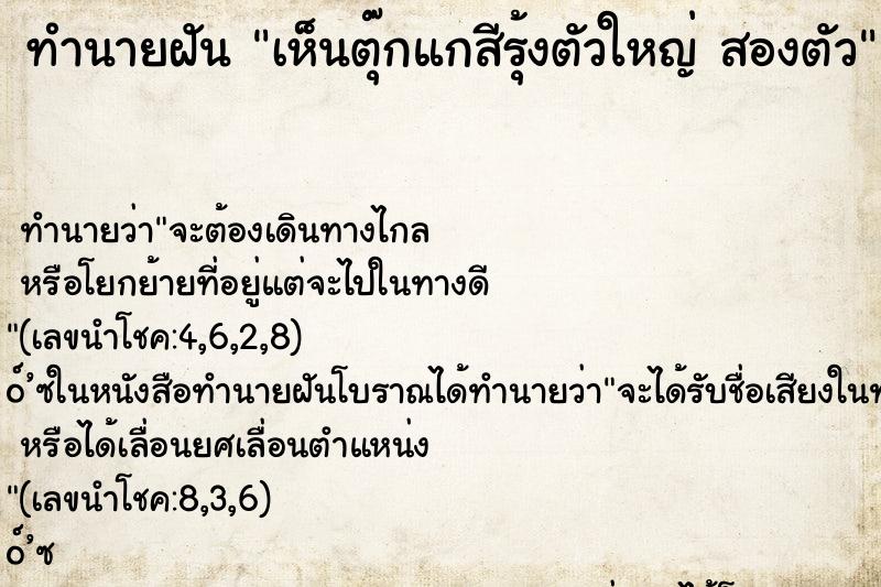 ทำนายฝันทำนายฝันเห็นตุ๊กแกสีรุ้งตัวใหญ่สองตัว
